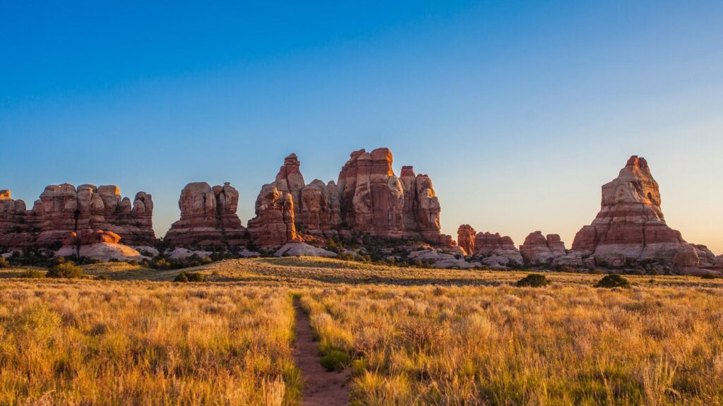 The 15 Best Hikes in Canyonlands National Park: A Comprehensive Guide 43 A dirt path through grasses leads to towers of sandstone