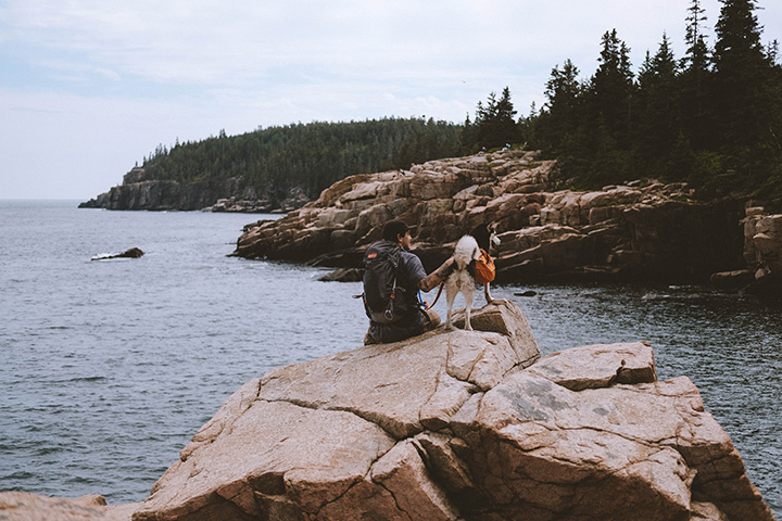 The Best Time to Visit Acadia National Park: When to See Fall Colors 8 A man and his dog sit on a rock on the ocean shore