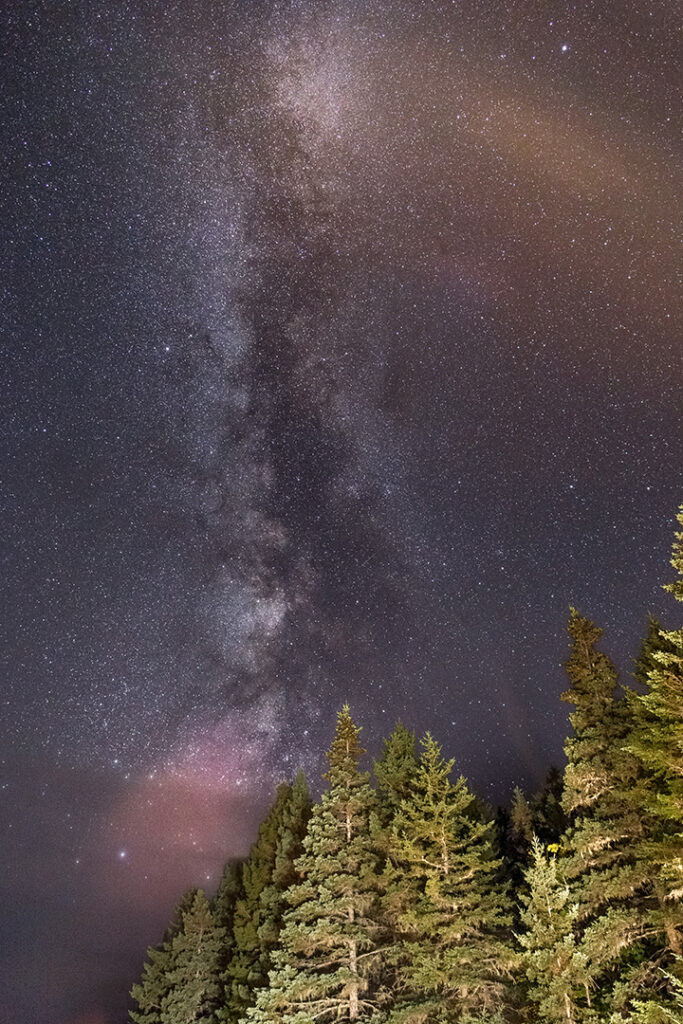 The Best Time to Visit Acadia National Park: When to See Fall Colors 21 The milky way in the night sky above a green forest