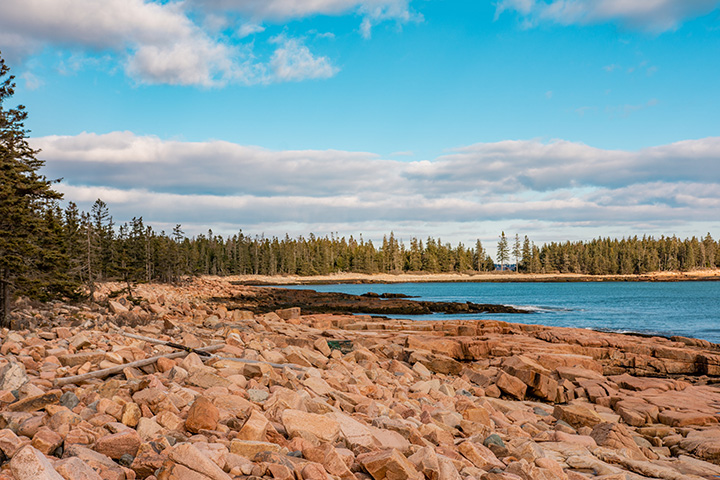 The Best Time to Visit Acadia National Park: When to See Fall Colors 17 A rocky beach