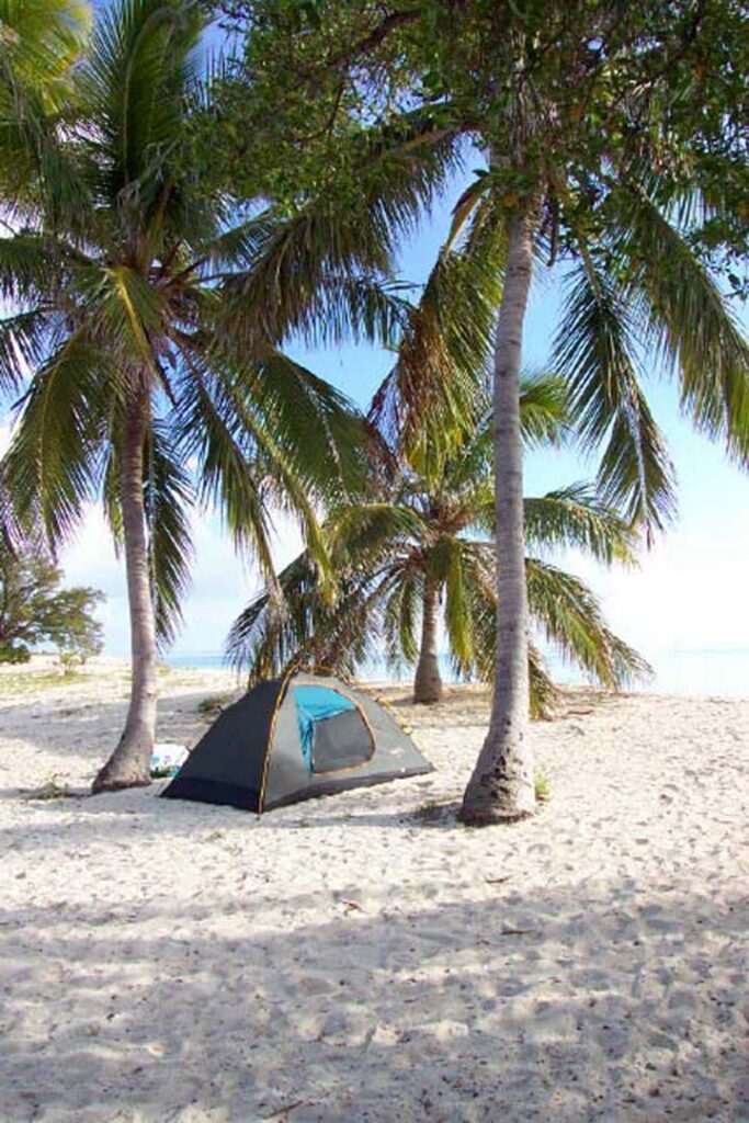 Dry Tortugas National Park 18 A tent on the beach under palm trees