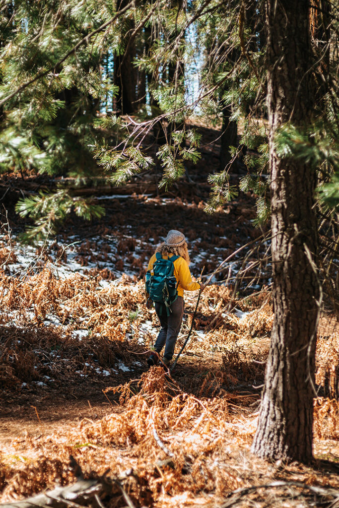 11 Hiking Safety Tips for Your Next Trail Adventure 9 A female hiker walks on a trail through the woods