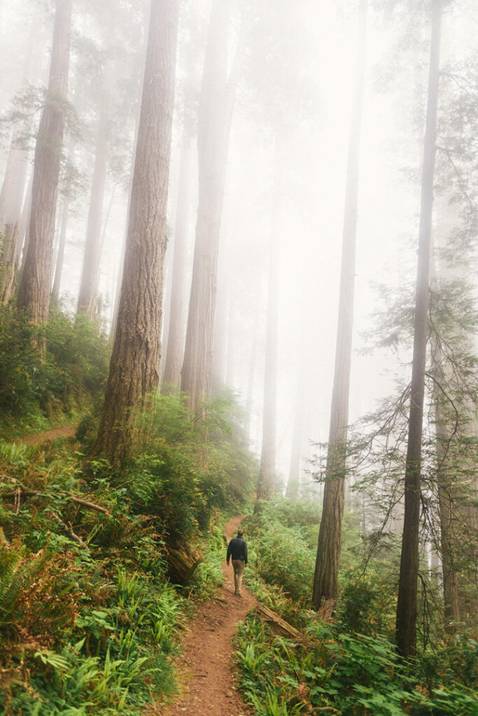 11 Hiking Safety Tips for Your Next Trail Adventure 19 A hiker walks on a trail through the forest