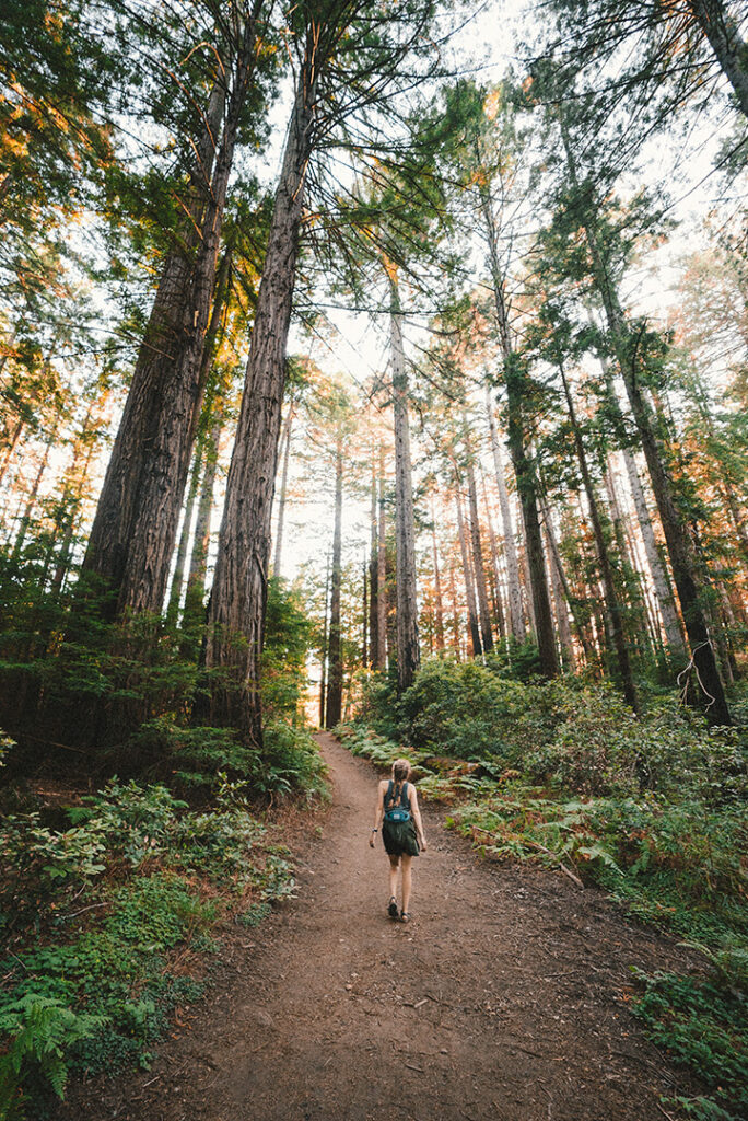 11 Hiking Safety Tips for Your Next Trail Adventure 23 A female hiker walks on a trail through the forest