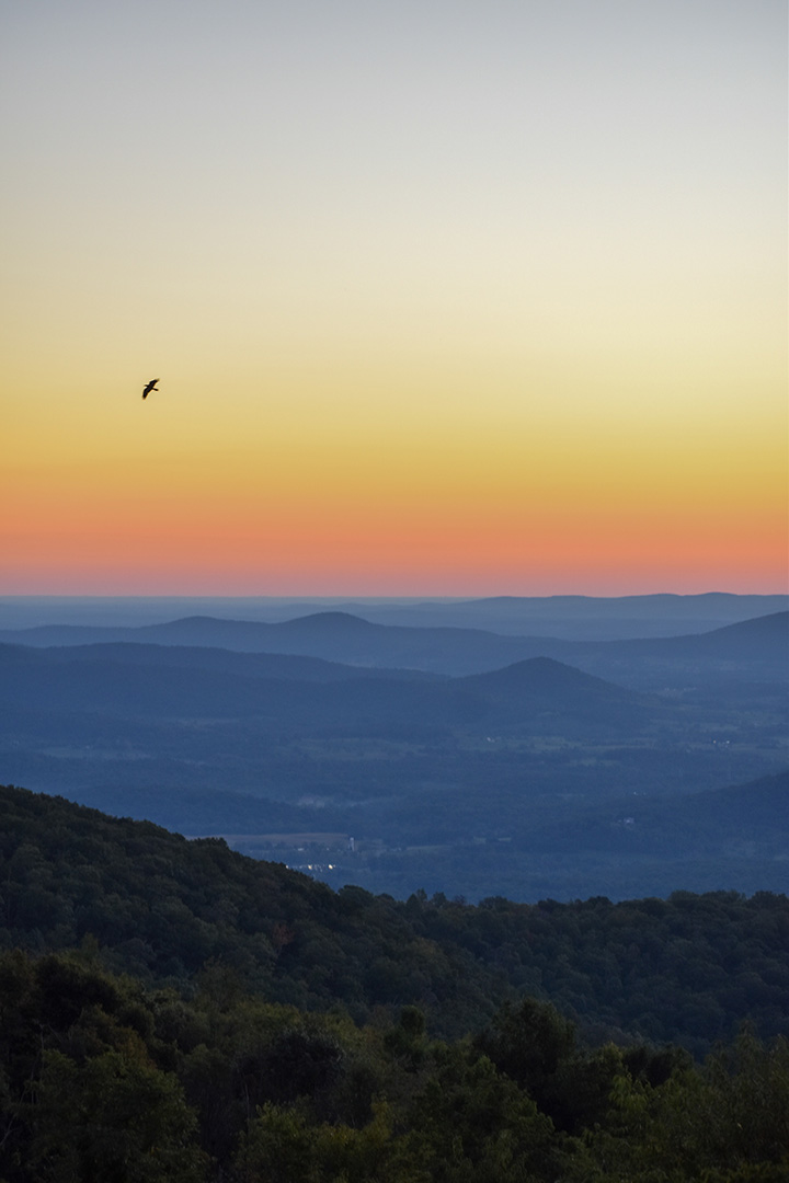 A List of All 63 National Parks in the U.S. Ranked by Their Popularity 41 Hazy mountains at sunset with a bird flying overhead