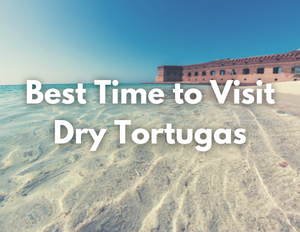 Dry Tortugas National Park 8 An image of a brick fort on a beach. Text on the image reads "Best Time to Visit Dry Tortugas"
