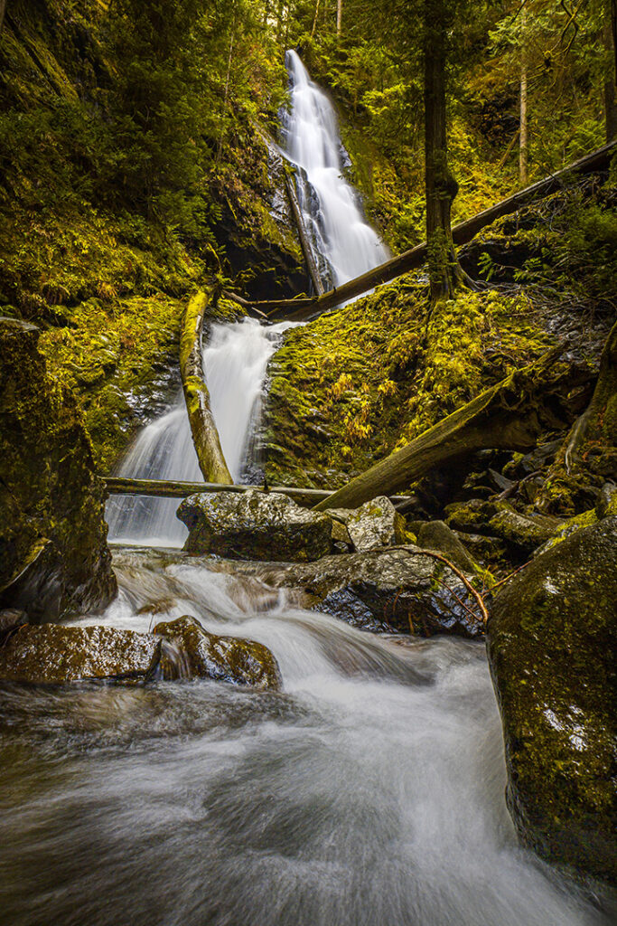 Olympic National Park Camping Guide: Everything You Need to Know About All 15 Olympic National Park Campgrounds 3 A waterfall in a mossy forest