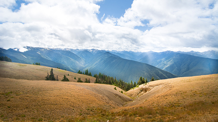 A tan field below blue mountains on a cloudy day