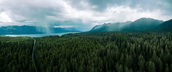 Olympic National Park Camping Guide: Everything You Need to Know About All 15 Olympic National Park Campgrounds 28 An aerial view of a road through an evergreen forest leading to a large lake