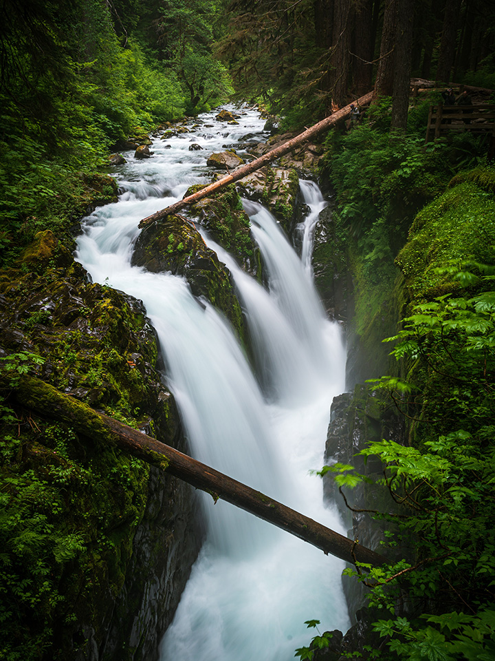 Olympic National Park Camping Guide: Everything You Need to Know About All 15 Olympic National Park Campgrounds 34 A small waterfall in a green mossy forest