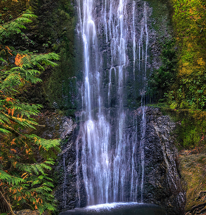 Olympic National Park Camping Guide: Everything You Need to Know About All 15 Olympic National Park Campgrounds 13 A thin, tall waterfall on rocks surrounded by greenery