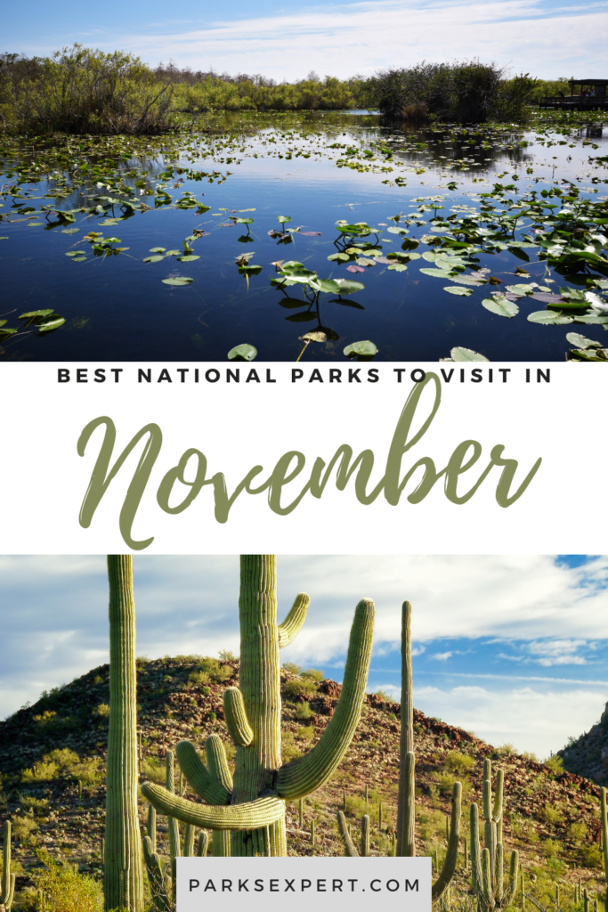 10 Best National Parks to Visit in November 16 The best national parks to visit in November include desert oases, warm marshlands, and gorgeous fall foliage. You won’t want to miss them!