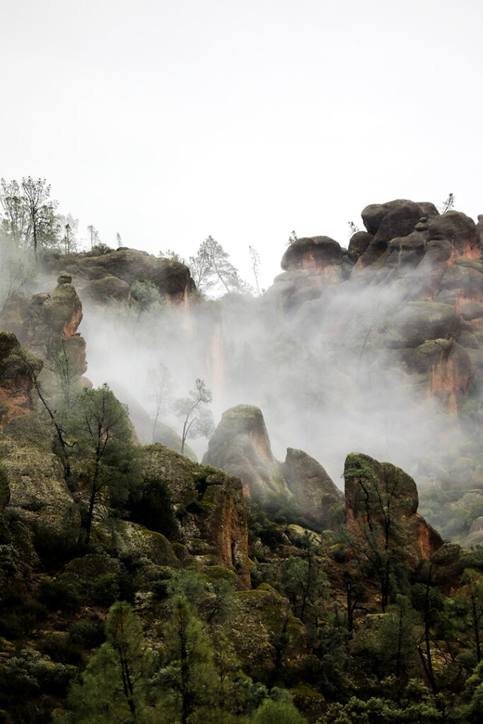 The Ultimate Pinnacles National Park Camping Guide 10 Fog fills an area filled with rock spires