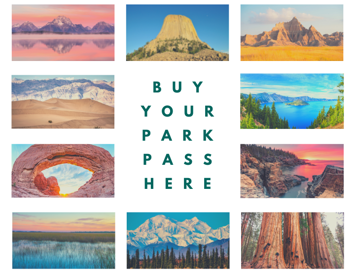 A collage of national park photos surrounding the words "buy your park pass here"