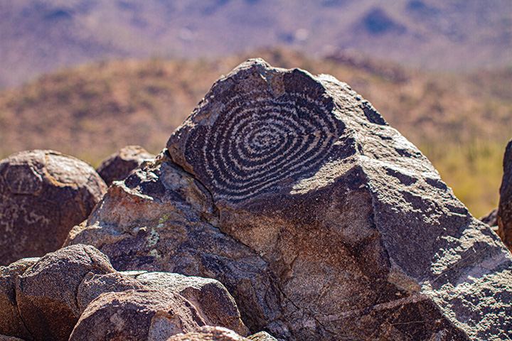 The 16 Best Saguaro National Park Hikes for Every Type of Explorer 49 Circular petroglyphs on a rock