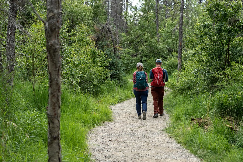 The 13 Best Things to Do in Katmai National Park: Bears and Volcanoes Galore 11 Two hikers walk on the path to Brooks Falls viewing platform