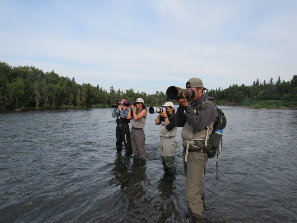 The 13 Best Things to Do in Katmai National Park: Bears and Volcanoes Galore 18 A group of photographers with long lenses stand in a river taking photos