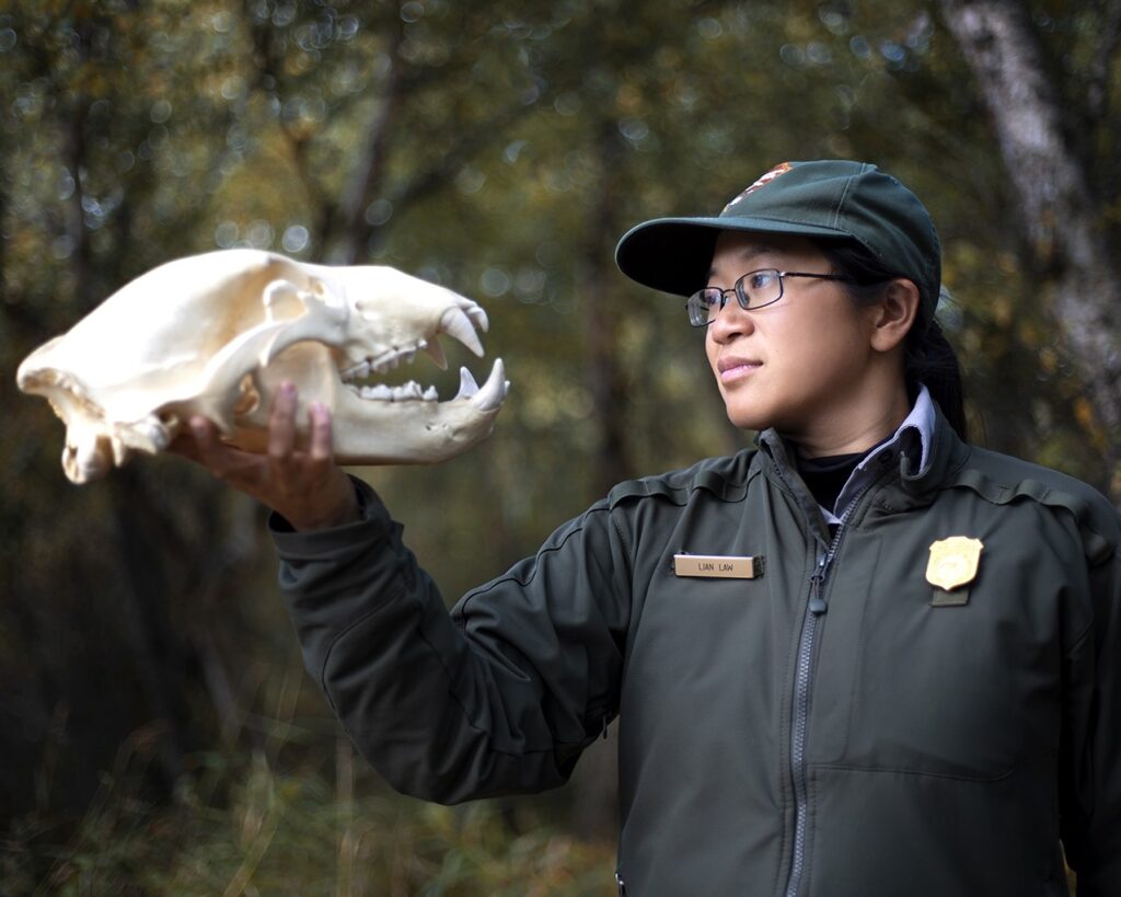 The 13 Best Things to Do in Katmai National Park: Bears and Volcanoes Galore 17 A park ranger holds up a bear skull