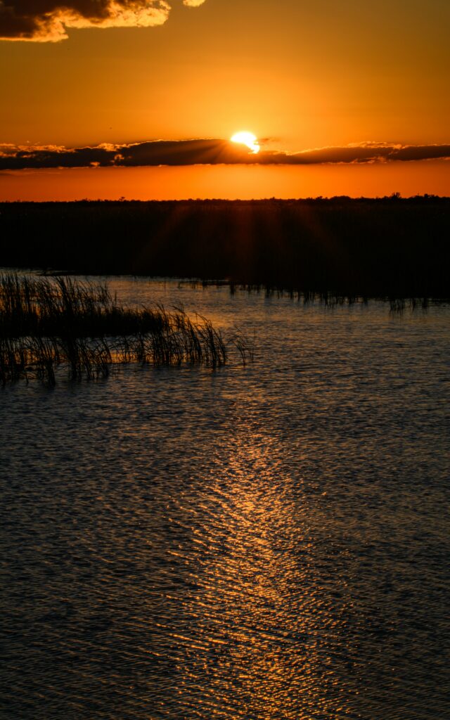 Everglades National Park Camping Guide: Everything You Need to Know 5 The setting sun creates an orange sky over the Everglades