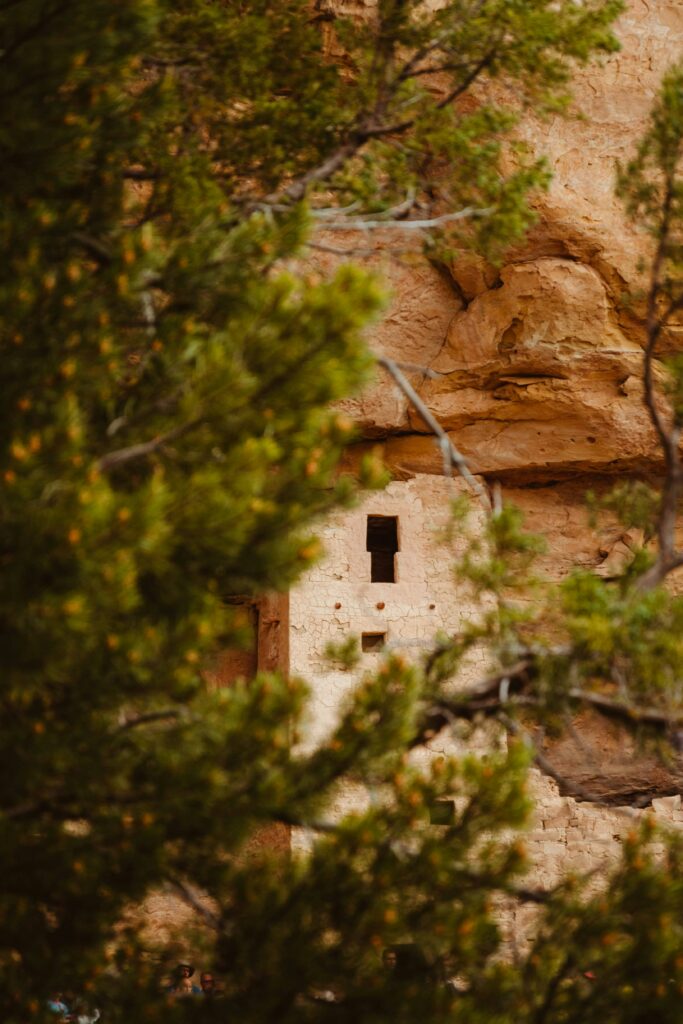Camping in Mesa Verde National Park: Is Morefield Campground the Best in the National Parks? 15 A pueblo made of rock and stone peeking out behind pine trees