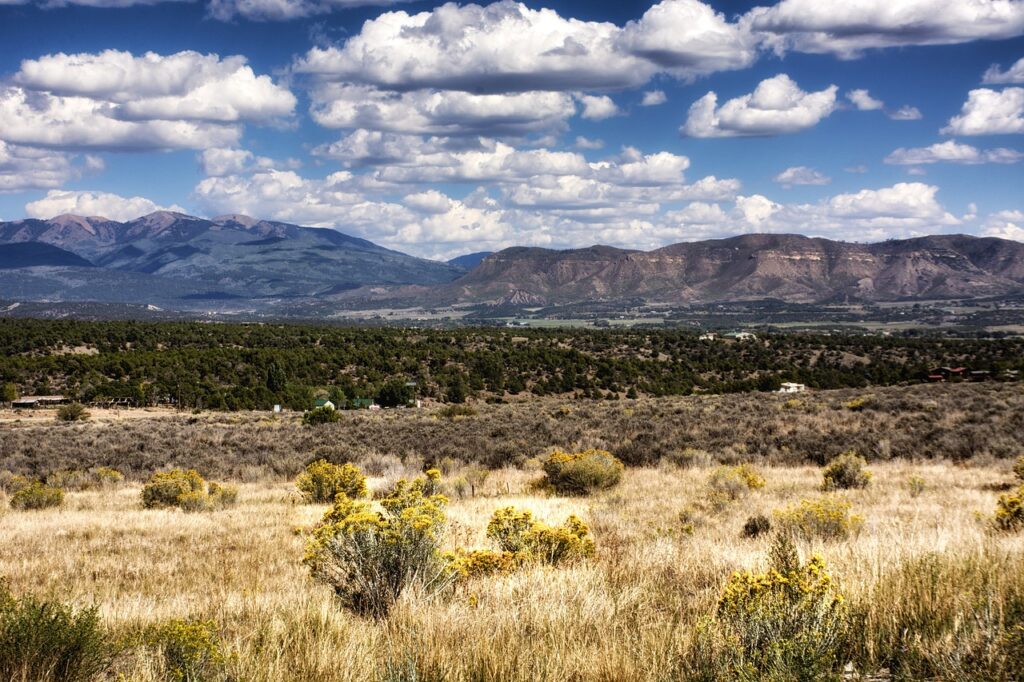 Camping in Mesa Verde National Park: Is Morefield Campground the Best in the National Parks? 16 Prairie grasses below tall mountains and a cloudy blue sky