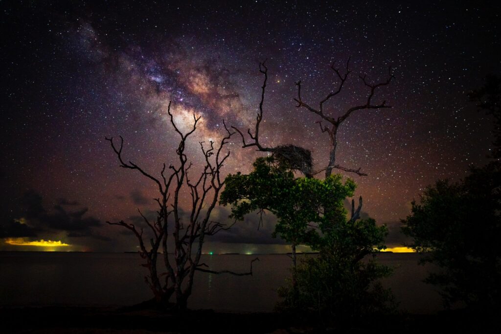 Everglades National Park Camping Guide: Everything You Need to Know 4 The Milky Way can be seen while camping in the Everglades National Park