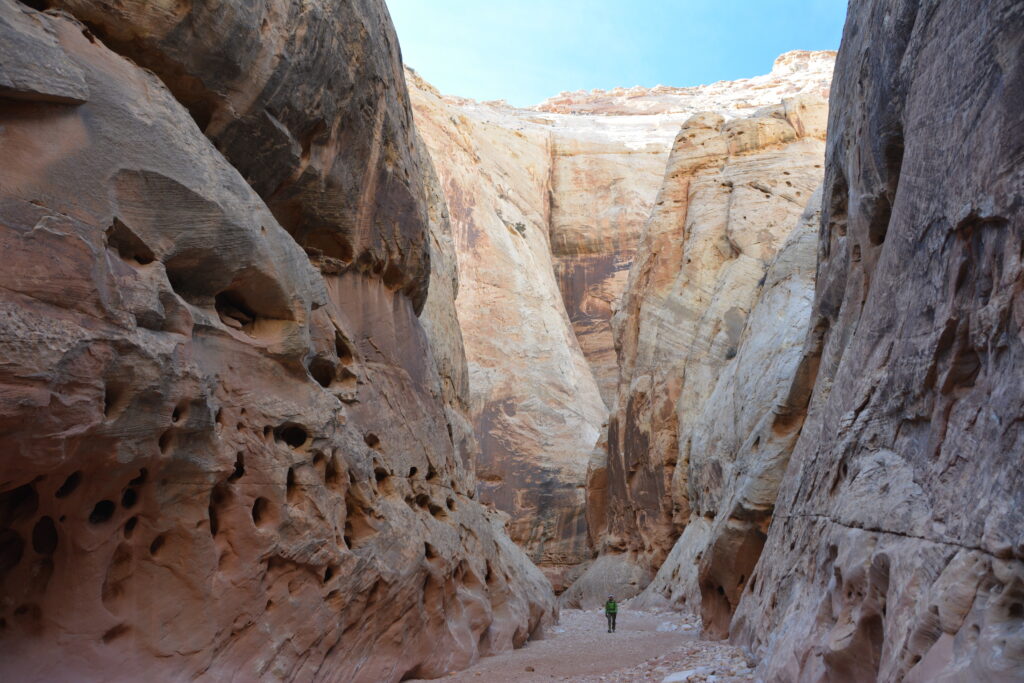 20 Best Hikes in Capitol Reef National Park 17 A hiker is so small next to the walls of the Grand Wash, one of the best Capitol Reef hikes, that it's hard to see them