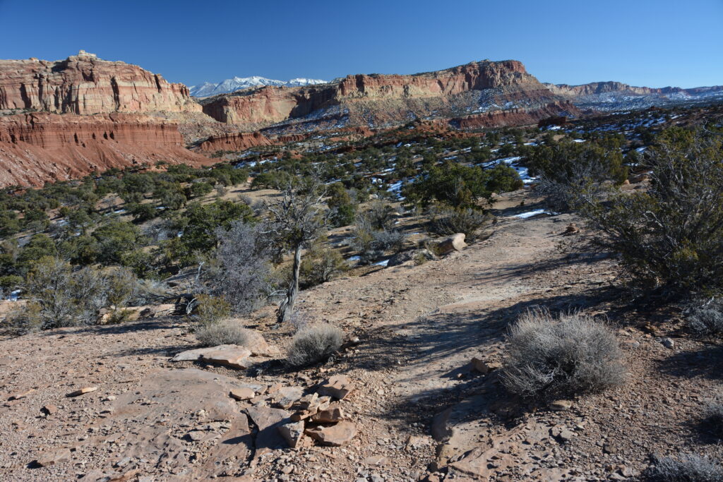 20 Best Hikes in Capitol Reef National Park 33 Stands of juniper frame a path leading to the desert cliffs beyond