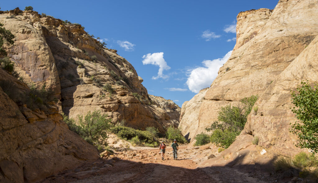 20 Best Hikes in Capitol Reef National Park 15 Two hikers traverse a wash through a canyon