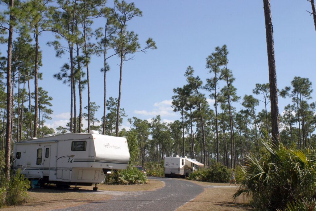 Everglades National Park Camping Guide: Everything You Need to Know 13 Two RVs at their campsites at Long Pine Key Campground in Everglades National Park