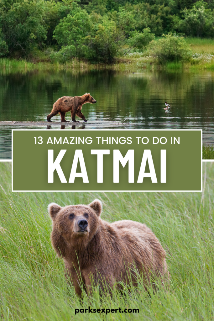 The 13 Best Things to Do in Katmai National Park: Bears and Volcanoes Galore 37 Pin with photos bear and scenery in Katmai National Park and text: 13 Best Things to Do in Katmai National Park