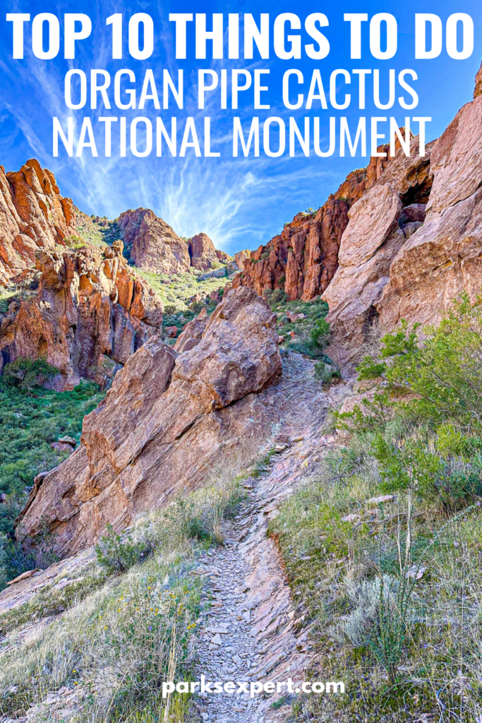 The Top 10 Best Things to Do in Organ Pipe Cactus National Monument 32 Pin for "Top 10 Things to Do in Organ Pipe Cactus National Monument" with pictures from the park