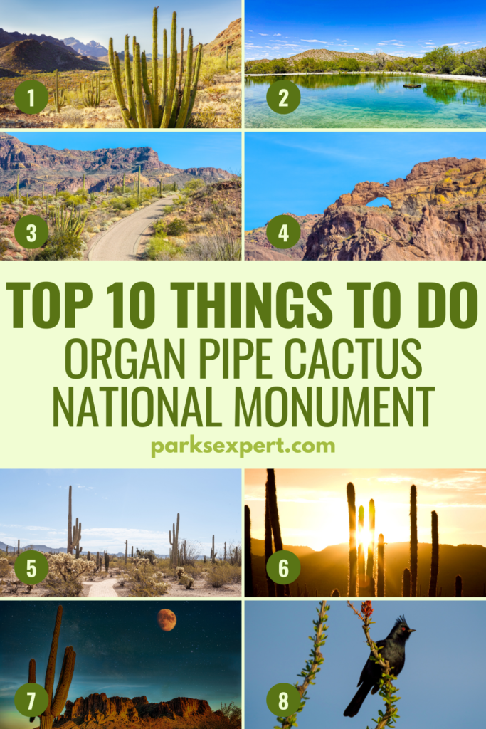 The Top 10 Best Things to Do in Organ Pipe Cactus National Monument 31 Pin for "Top 10 Things to Do in Organ Pipe Cactus National Monument" with pictures from the park