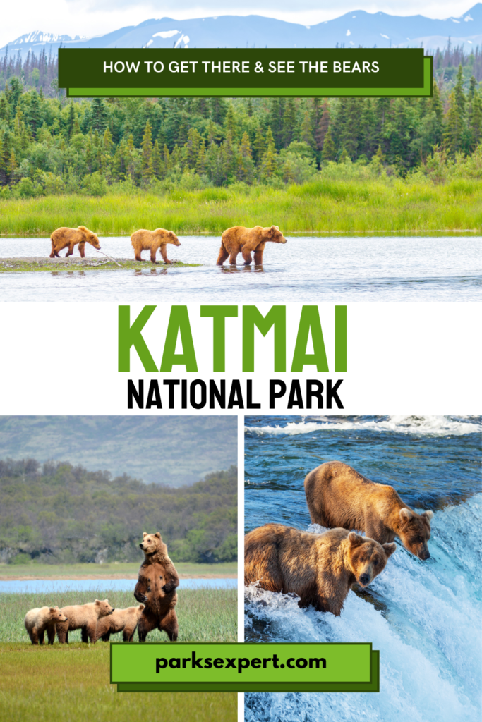 How to Get to Katmai National Park: Boats, Planes, and Bears, Oh My! 23 Pin with various photos of brown bears in Katmai: How to Get to Katmai National Park