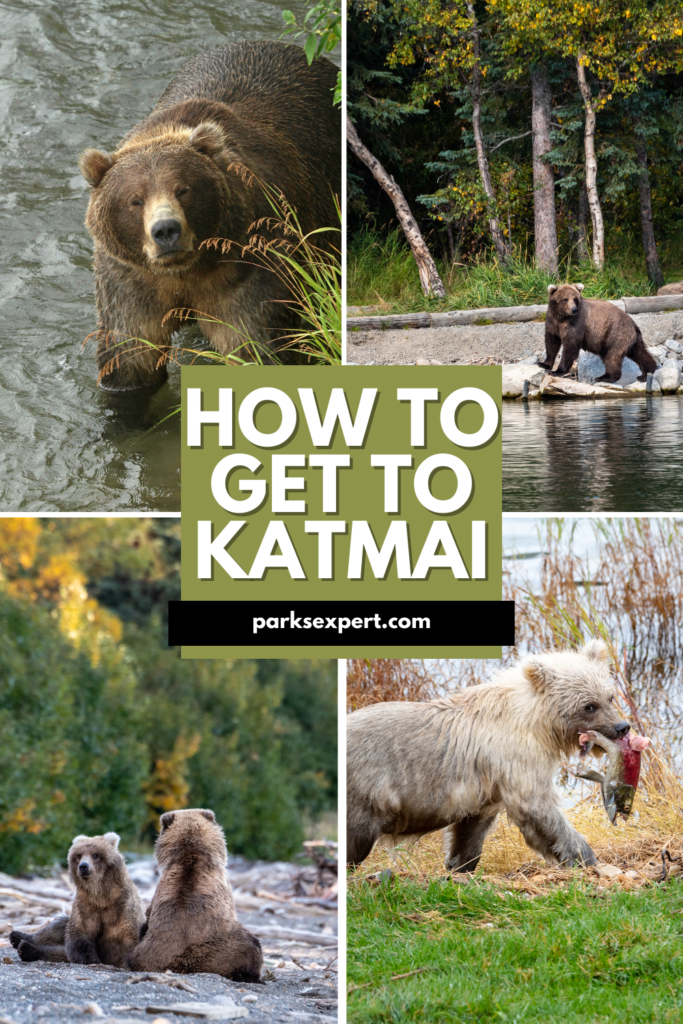 How to Get to Katmai National Park: Boats, Planes, and Bears, Oh My! 25 Pin with various photos of brown bears in Katmai: How to Get to Katmai National Park