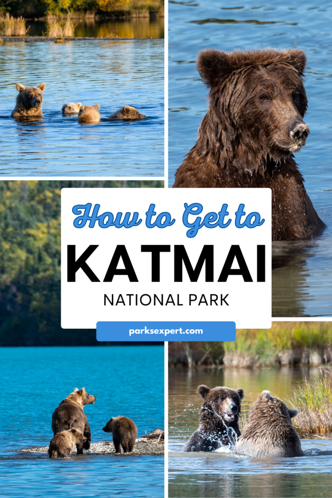 How to Get to Katmai National Park: Boats, Planes, and Bears, Oh My! 24 Pin with various photos of brown bears in Katmai: How to Get to Katmai National Park