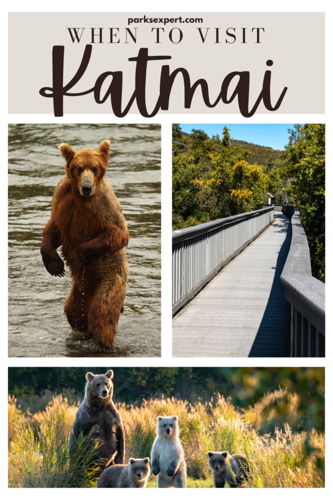 The Absolute BEST Time to Visit to Katmai National Park 23 Pin with various pictures of brown bears: Best Time to Visit Katmai National Park