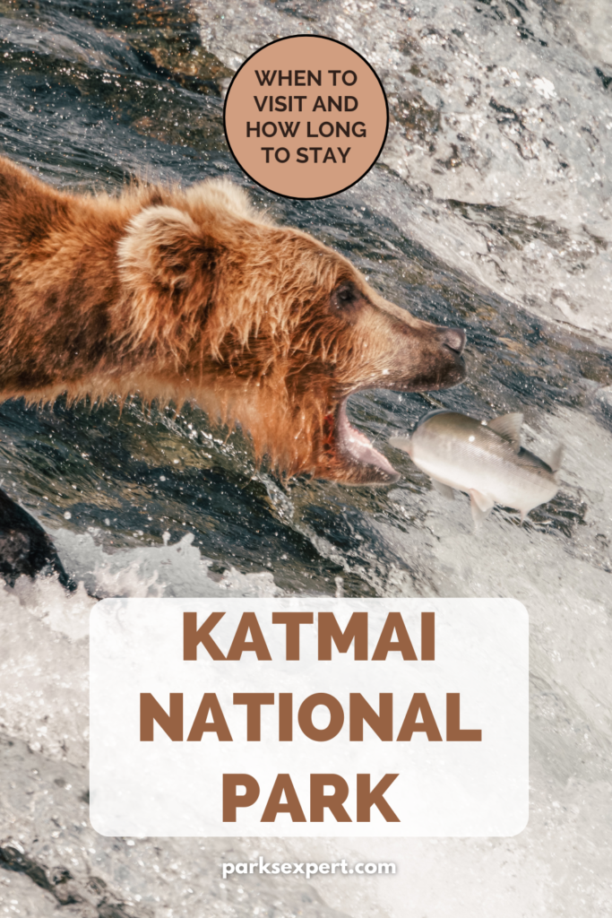 The Absolute BEST Time to Visit to Katmai National Park 22 Pin with various pictures of brown bears: Best Time to Visit Katmai National Park
