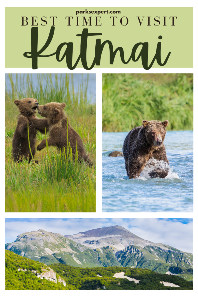 The Absolute BEST Time to Visit to Katmai National Park 21 Pin with various pictures of brown bears: Best Time to Visit Katmai National Park