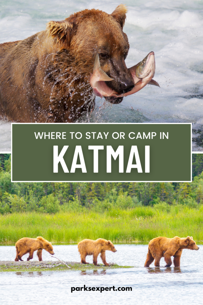 Where to Stay in Katmai National Park: Lodging, Campgrounds, and Backpacking 27 Pin with photos of brown bears and text: Where to Stay in Katmai National Park