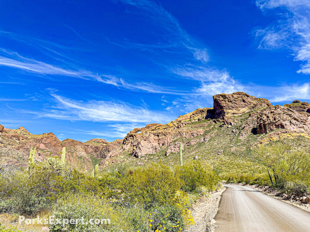 The Top 10 Best Things to Do in Organ Pipe Cactus National Monument 14 an unpaved road leads toward a double arch rock formation on a mountaintop in the distance