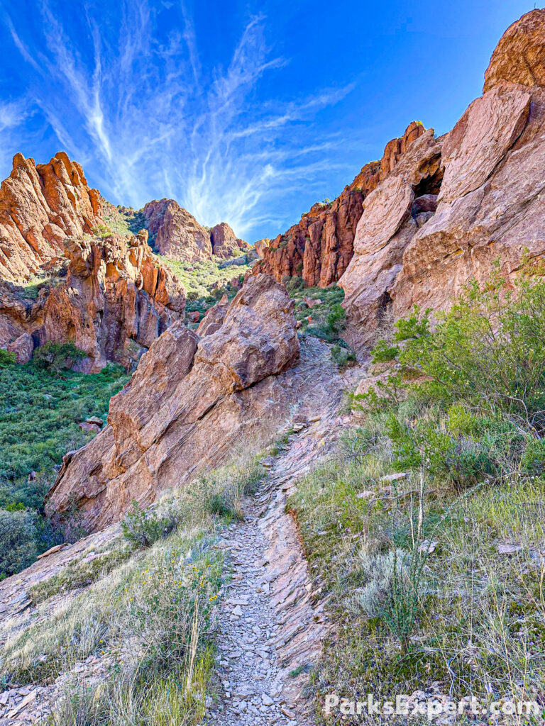 The Top 10 Best Things to Do in Organ Pipe Cactus National Monument 19 A hiking path leading into a green canyon with red rock formations above