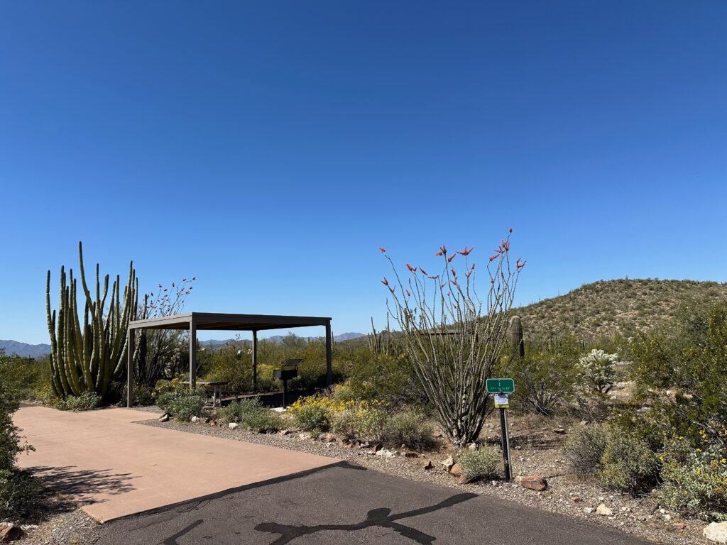 The Top 10 Best Things to Do in Organ Pipe Cactus National Monument 22 A covered picnic table next to a paved parking pad with a grill. This is most of the campsites in Twin Peaks Campground are like.