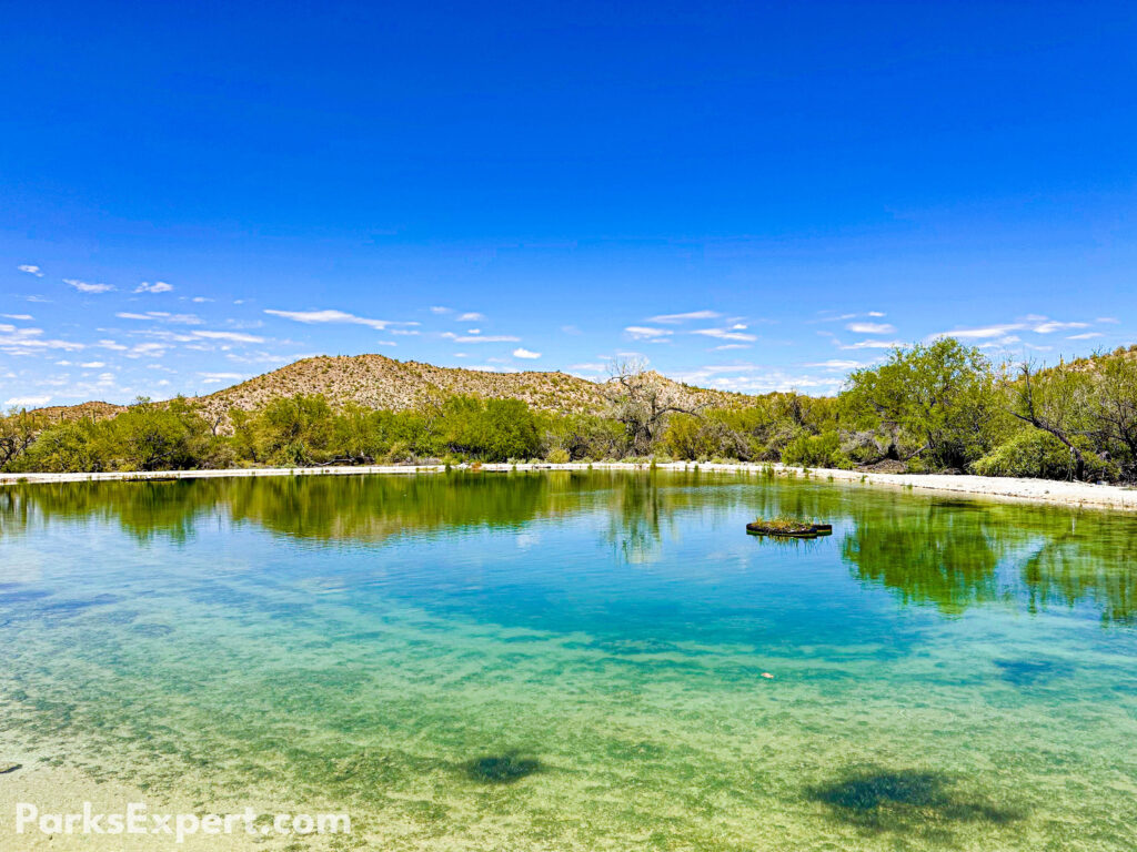 The Top 10 Best Things to Do in Organ Pipe Cactus National Monument 12 Quitobaquito pond is a bright blue oasis amidst the desert brush and mountains of Organ Pipe Cactus National Monument