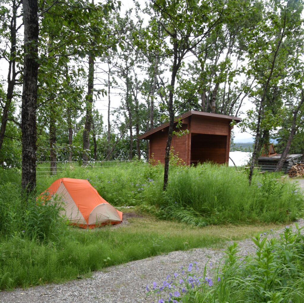 Where to Stay in Katmai National Park: Lodging, Campgrounds, and Backpacking 18 An orange and white tent set up in a gravel site next to an outhouse-shaped building