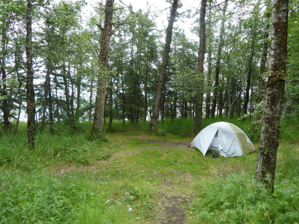 How to Get to Katmai National Park: Boats, Planes, and Bears, Oh My! 13 A white tent in a field of grass at the Brooks Camp Campground