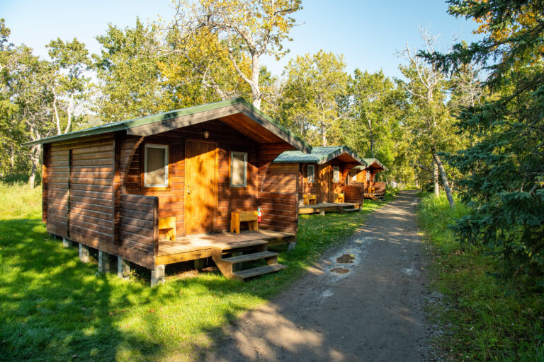 A row of cabins along a gravel path