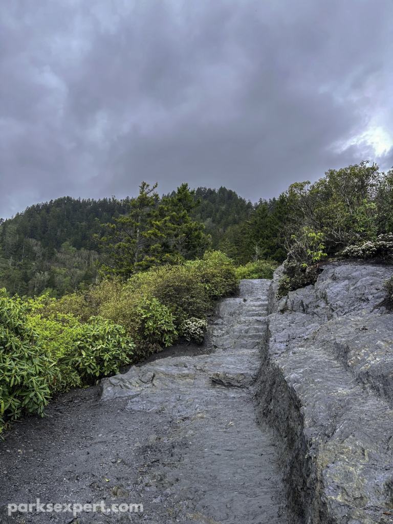 Hiking Alum Cave Trail in Great Smoky Mountains National Park 23 Stone steps rise to keep climbing up Peregrine Peak