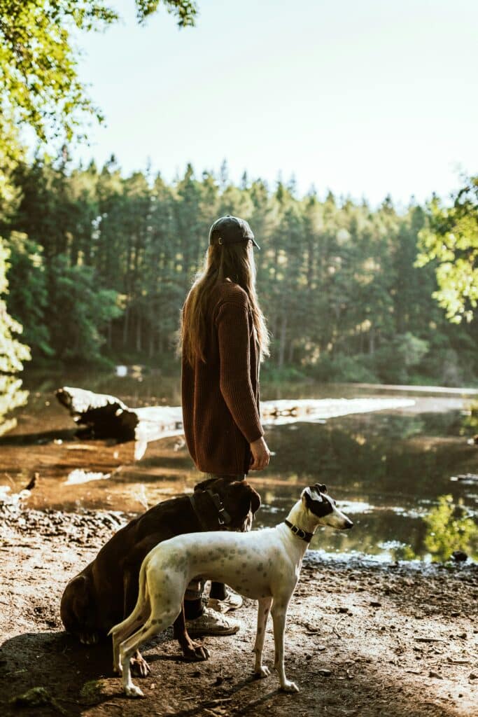 Are Dogs Allowed in Great Smoky Mountains National Park? 2 A woman stands by the water's edge with two leashed dogs by her side