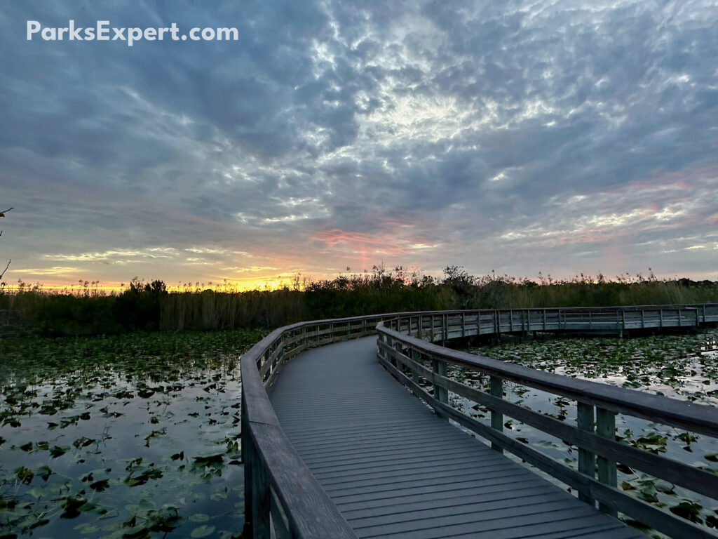 Hiking Anhinga Trail in Everglades National Park 7 A winding boardwalk crosses a pond under an orange sunset